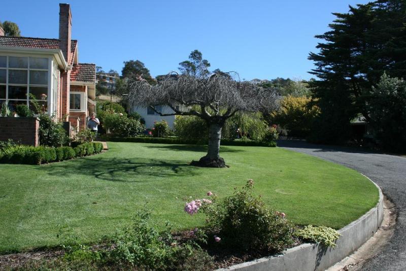 Trevallyn House B & B Riverside Exterior photo